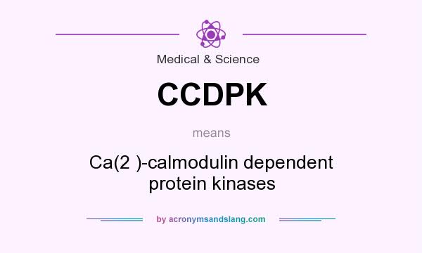 What does CCDPK mean? It stands for Ca(2 )-calmodulin dependent protein kinases