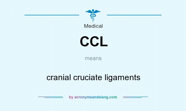 What does CCL mean? It stands for cranial cruciate ligaments
