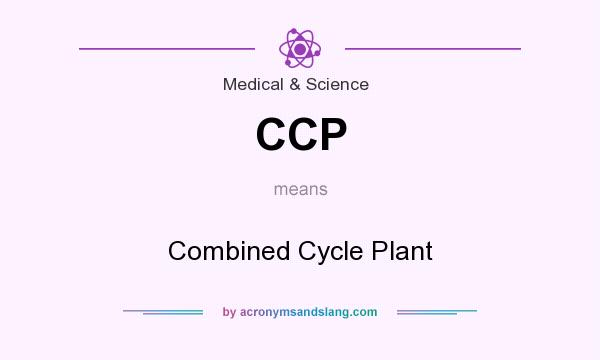 What does CCP mean? It stands for Combined Cycle Plant