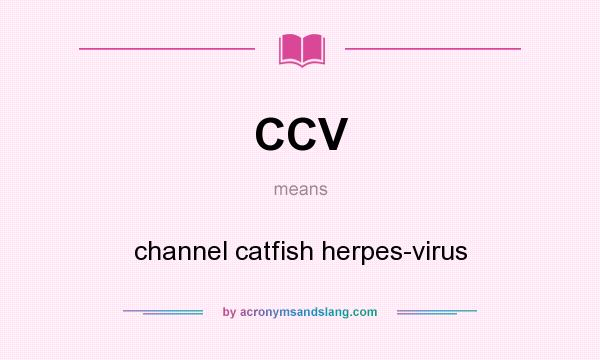 What does CCV mean? It stands for channel catfish herpes-virus