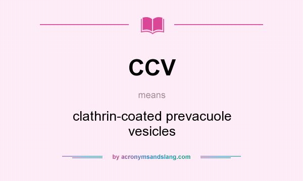 What does CCV mean? It stands for clathrin-coated prevacuole vesicles