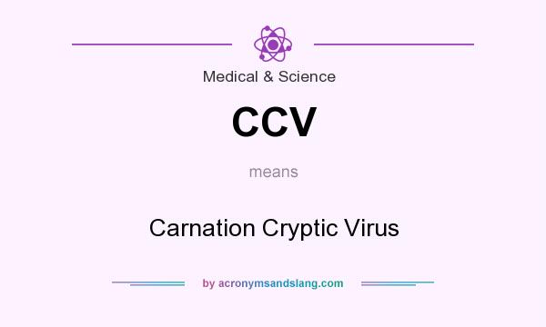 What does CCV mean? It stands for Carnation Cryptic Virus
