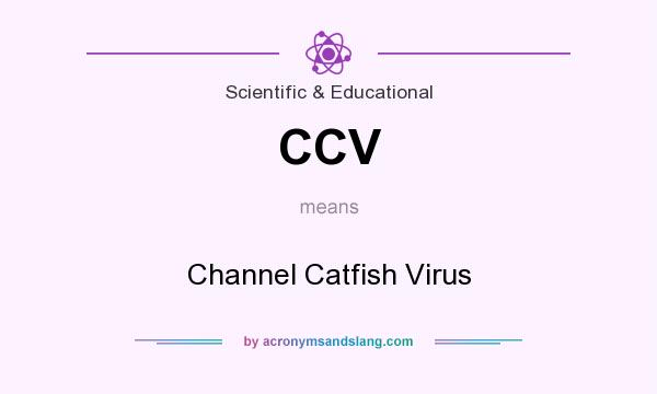 What does CCV mean? It stands for Channel Catfish Virus