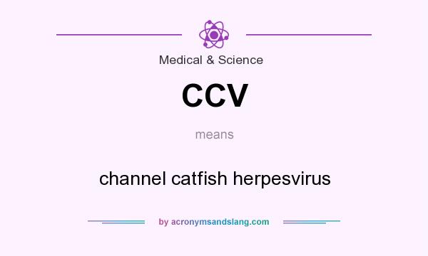 What does CCV mean? It stands for channel catfish herpesvirus