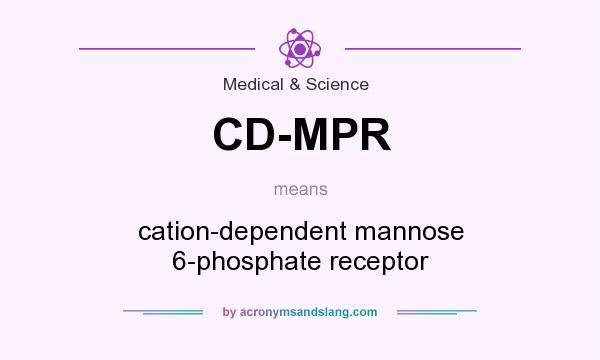 What does CD-MPR mean? It stands for cation-dependent mannose 6-phosphate receptor