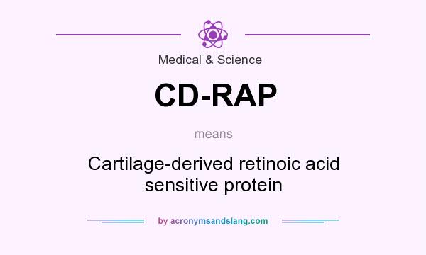 What does CD-RAP mean? It stands for Cartilage-derived retinoic acid sensitive protein