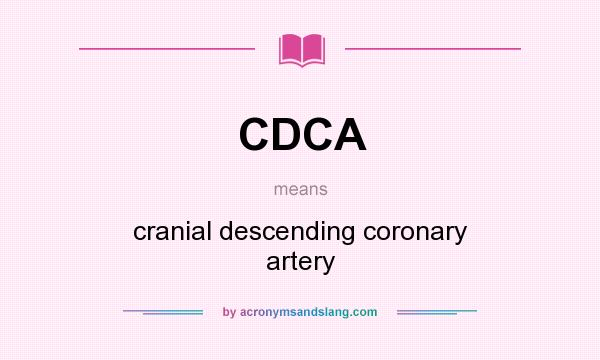 What does CDCA mean? It stands for cranial descending coronary artery