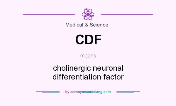 What does CDF mean? It stands for cholinergic neuronal differentiation factor