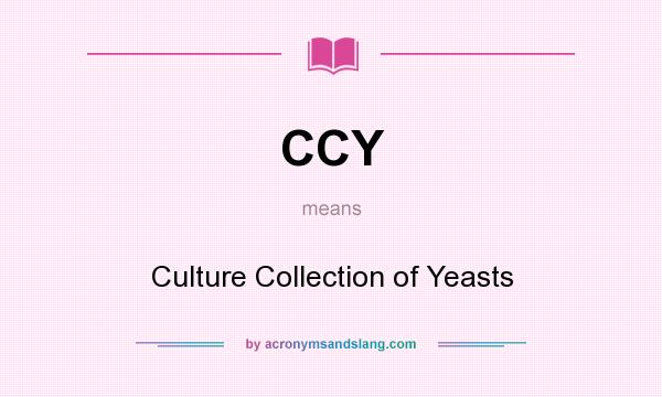 What does CCY mean? It stands for Culture Collection of Yeasts