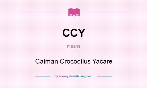 What does CCY mean? It stands for Caiman Crocodilus Yacare