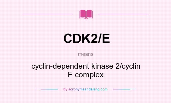What does CDK2/E mean? It stands for cyclin-dependent kinase 2/cyclin E complex