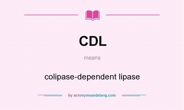 What does CDL mean? It stands for colipase-dependent lipase