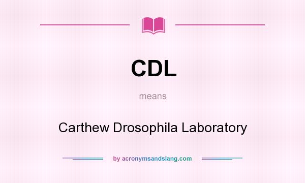 What does CDL mean? It stands for Carthew Drosophila Laboratory