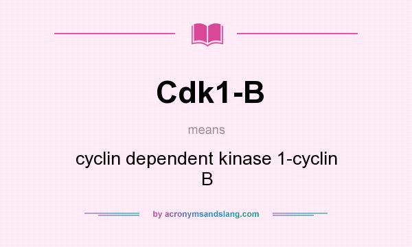 What does Cdk1-B mean? It stands for cyclin dependent kinase 1-cyclin B