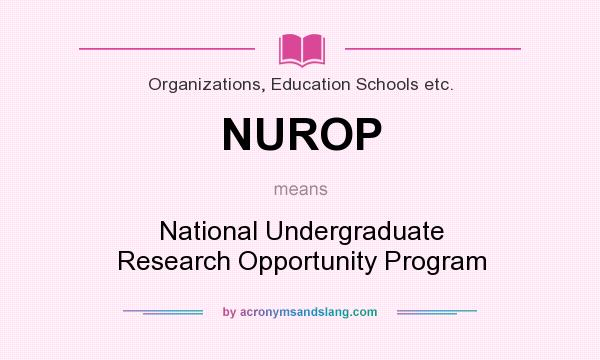 What does NUROP mean? It stands for National Undergraduate Research Opportunity Program