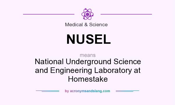 What does NUSEL mean? It stands for National Underground Science and Engineering Laboratory at Homestake