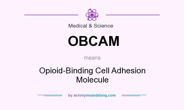 What does OBCAM mean? It stands for Opioid-Binding Cell Adhesion Molecule