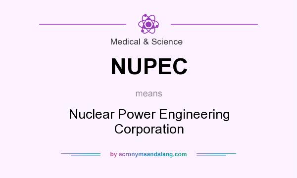 What does NUPEC mean? It stands for Nuclear Power Engineering Corporation