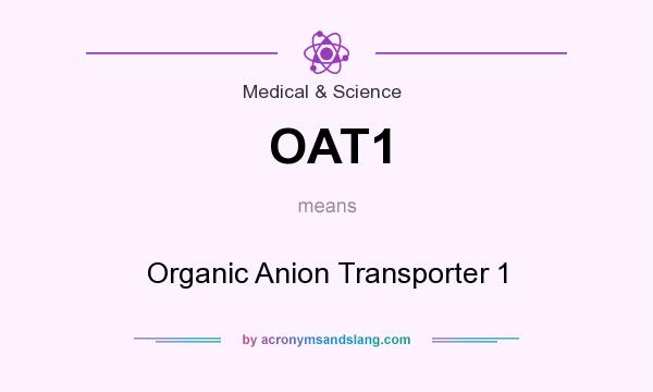 What does OAT1 mean? It stands for Organic Anion Transporter 1