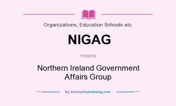 What does NIGAG mean? It stands for Northern Ireland Government Affairs Group