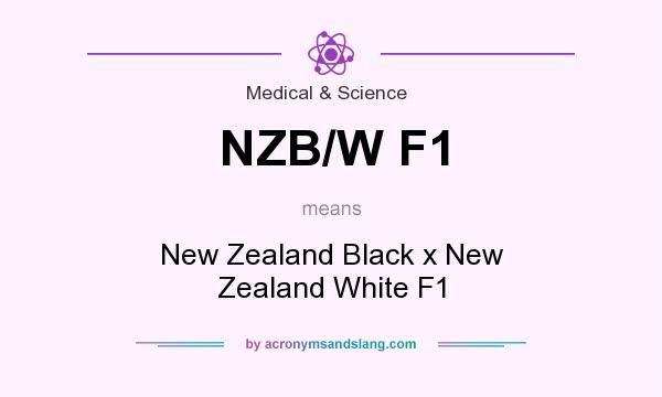 What does NZB/W F1 mean? It stands for New Zealand Black x New Zealand White F1