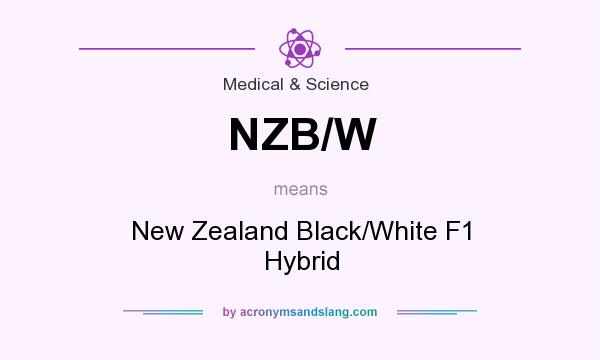 What does NZB/W mean? It stands for New Zealand Black/White F1 Hybrid