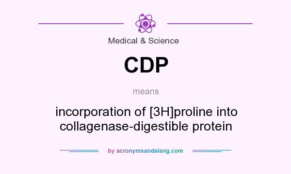 What does CDP mean? It stands for incorporation of [3H]proline into collagenase-digestible protein