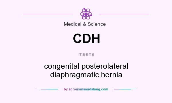 What does CDH mean? It stands for congenital posterolateral diaphragmatic hernia