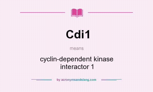 What does Cdi1 mean? It stands for cyclin-dependent kinase interactor 1