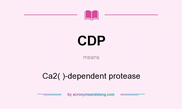 What does CDP mean? It stands for Ca2( )-dependent protease