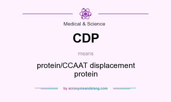 What does CDP mean? It stands for protein/CCAAT displacement protein