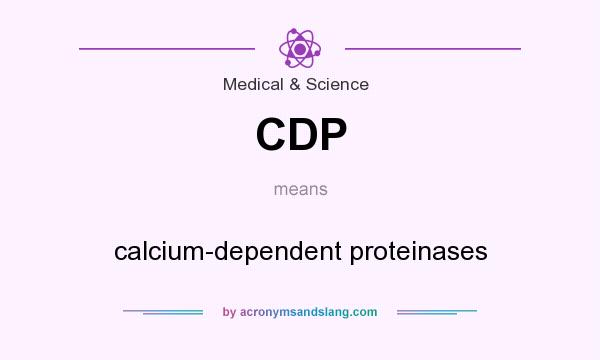 What does CDP mean? It stands for calcium-dependent proteinases