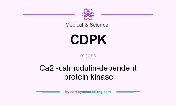 What does CDPK mean? It stands for Ca2 -calmodulin-dependent protein kinase