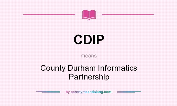 What does CDIP mean? It stands for County Durham Informatics Partnership