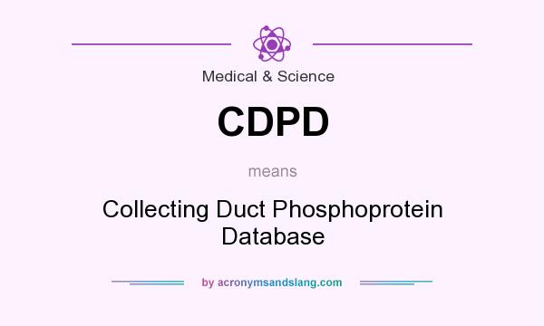 What does CDPD mean? It stands for Collecting Duct Phosphoprotein Database