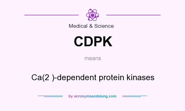 What does CDPK mean? It stands for Ca(2 )-dependent protein kinases