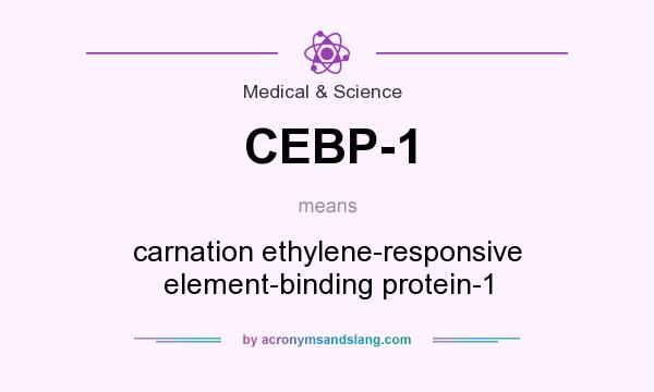 What does CEBP-1 mean? It stands for carnation ethylene-responsive element-binding protein-1