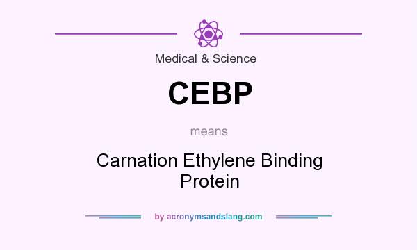What does CEBP mean? It stands for Carnation Ethylene Binding Protein