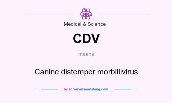 What does CDV mean? It stands for Canine distemper morbillivirus