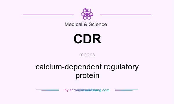 What does CDR mean? It stands for calcium-dependent regulatory protein