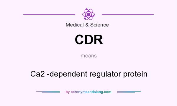 What does CDR mean? It stands for Ca2 -dependent regulator protein