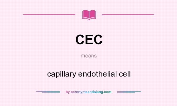 What does CEC mean? It stands for capillary endothelial cell
