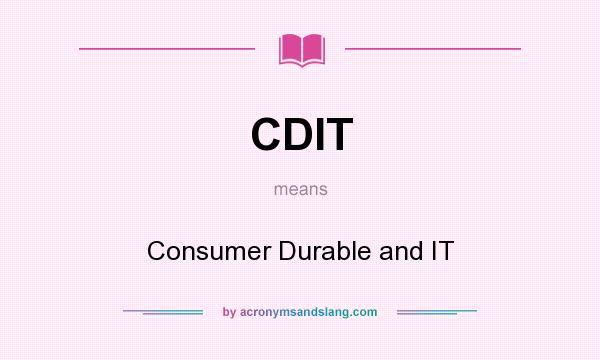 What does CDIT mean? It stands for Consumer Durable and IT