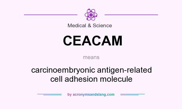 What does CEACAM mean? It stands for carcinoembryonic antigen-related cell adhesion molecule