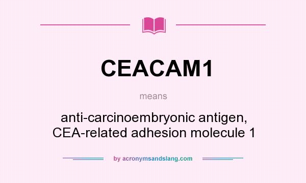 What does CEACAM1 mean? It stands for anti-carcinoembryonic antigen, CEA-related adhesion molecule 1