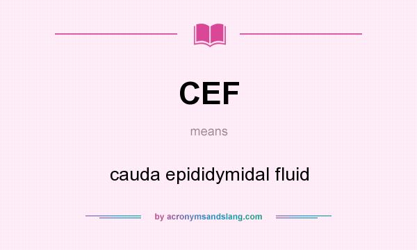 What does CEF mean? It stands for cauda epididymidal fluid