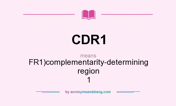 What does CDR1 mean? It stands for FR1)complementarity-determining region 1