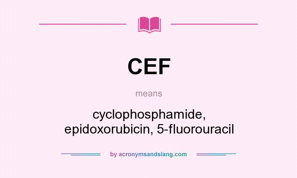 What does CEF mean? It stands for cyclophosphamide, epidoxorubicin, 5-fluorouracil
