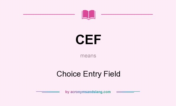 What does CEF mean? It stands for Choice Entry Field