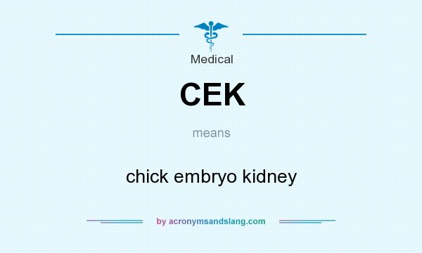 What does CEK mean? It stands for chick embryo kidney